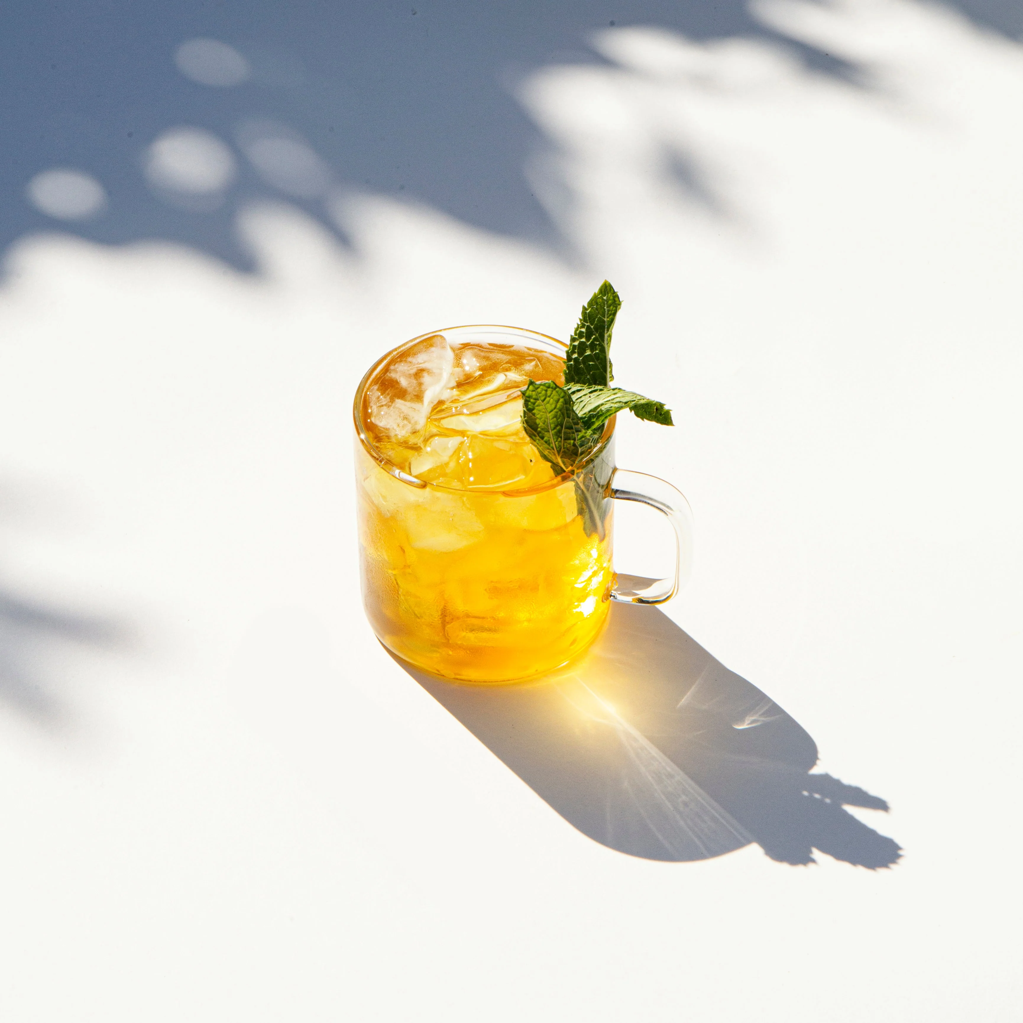 Body Type Bundle: Damp Heat - Image 3