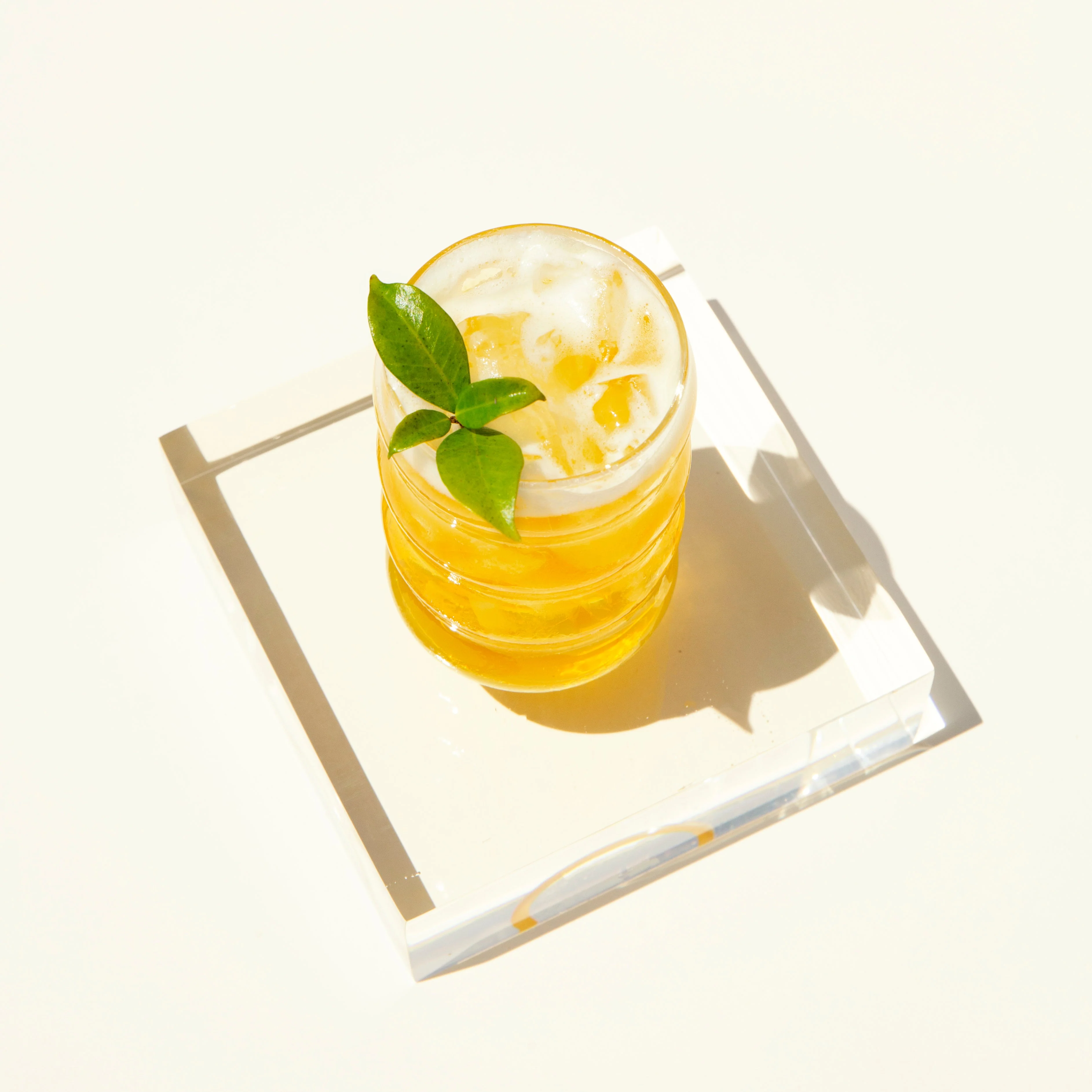 Essential Immune Support - Image 4