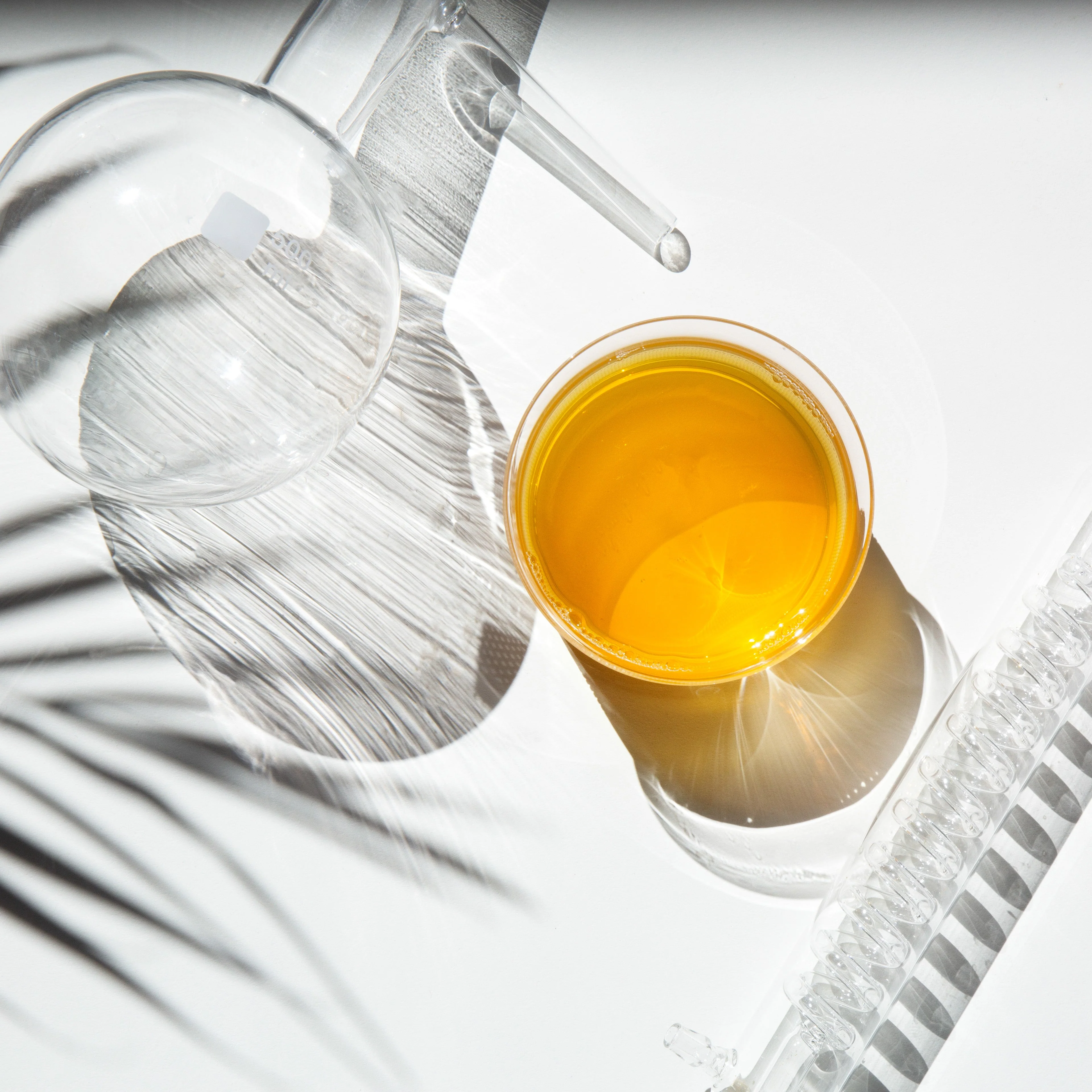 Passion Fruit Green Tea - Image 3