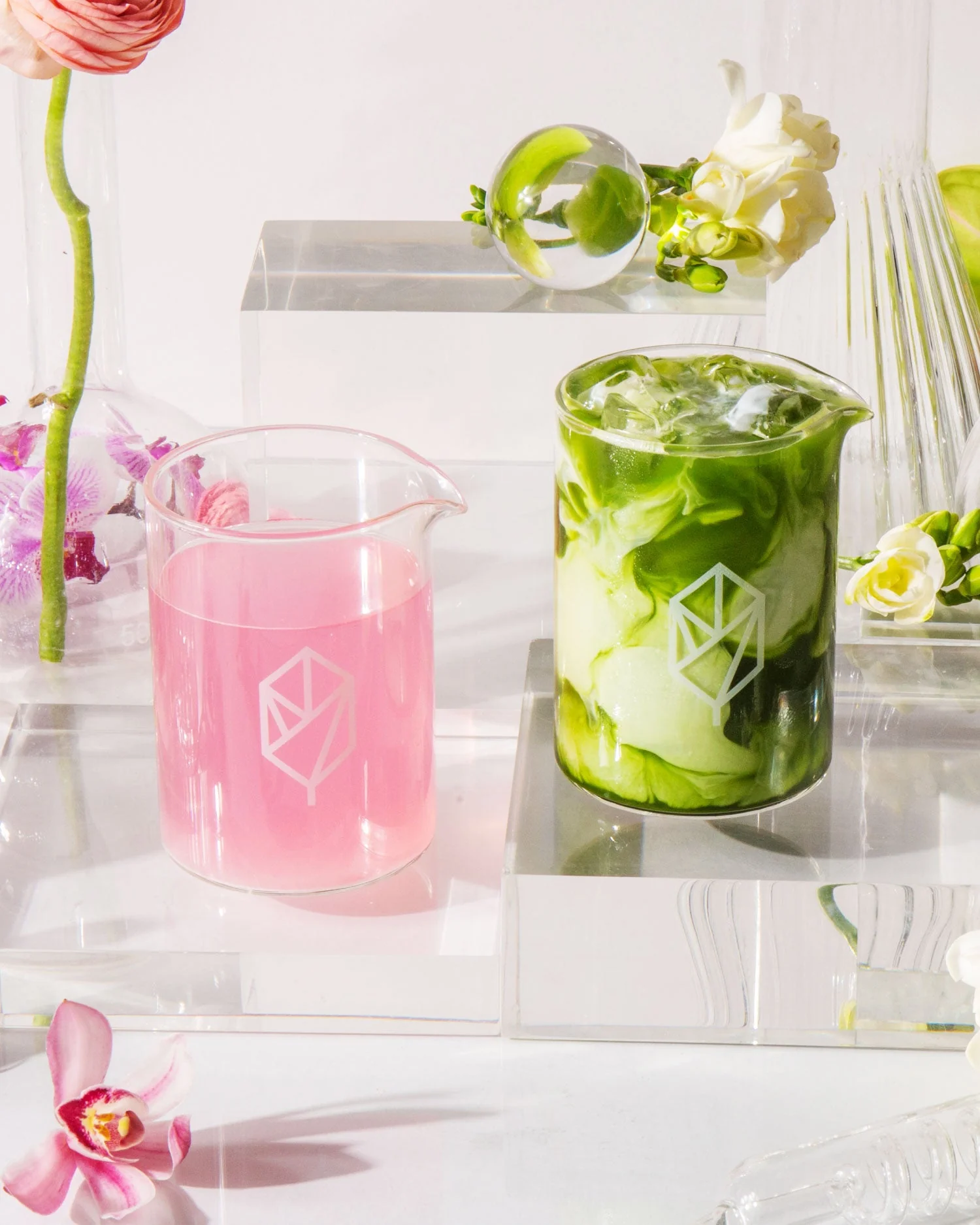 Radiant Skin Duo Protocol - Image 6